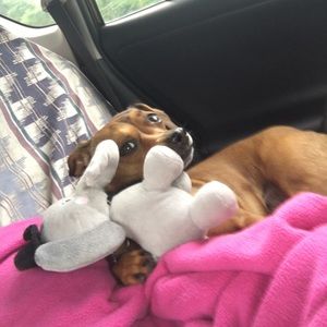 Meet your Posher, Michaela